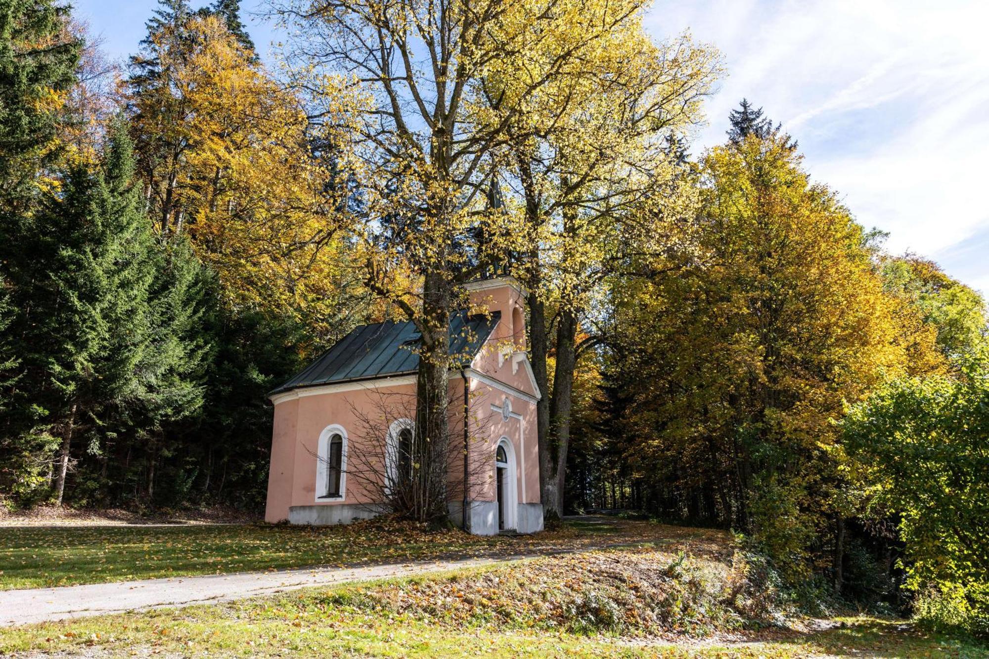 Forsthaus Apartments - Ski + Bike & Hike Klaffer am Hochficht Eksteriør bilde