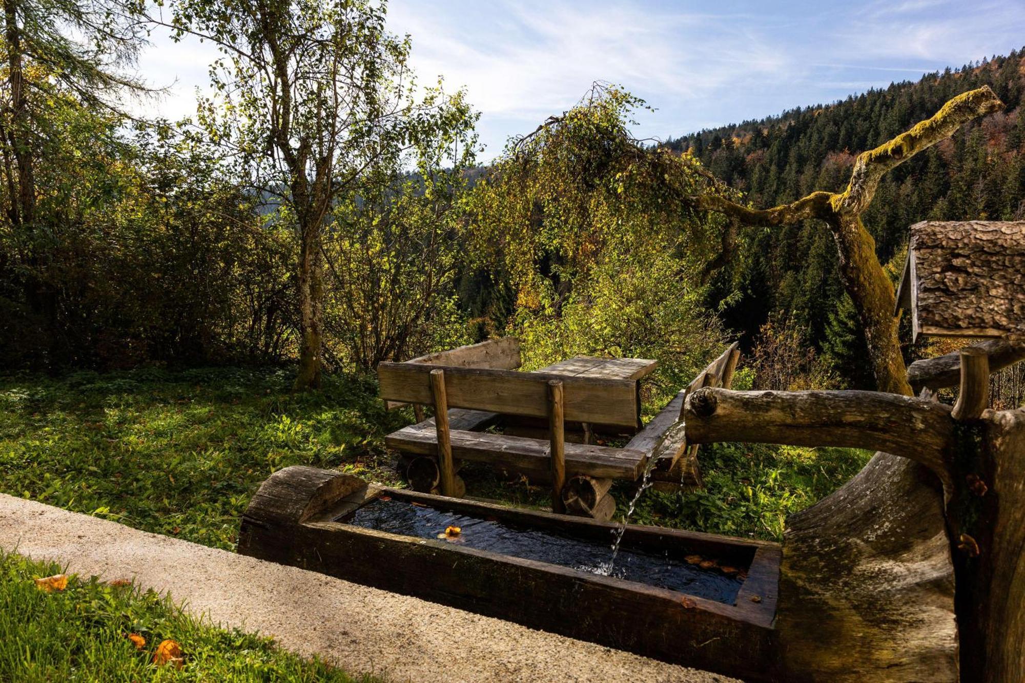 Forsthaus Apartments - Ski + Bike & Hike Klaffer am Hochficht Eksteriør bilde