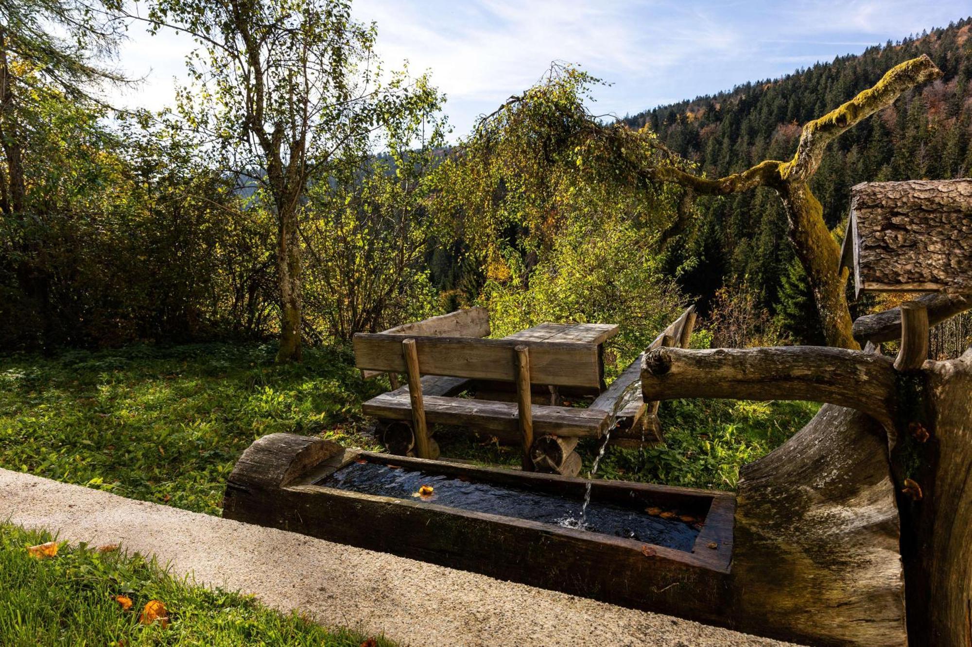 Forsthaus Apartments - Ski + Bike & Hike Klaffer am Hochficht Eksteriør bilde